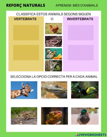 ANIMALS VERTEBRATS I INVERTEBRATS