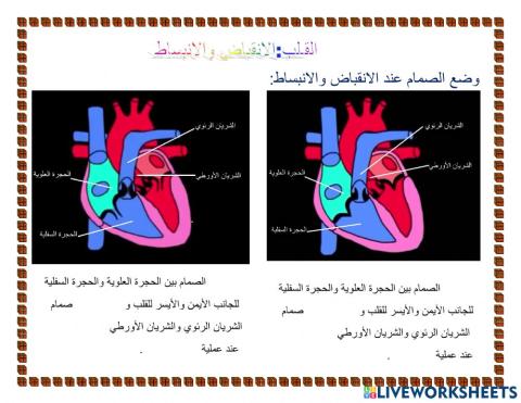 الانقباض والنبساط