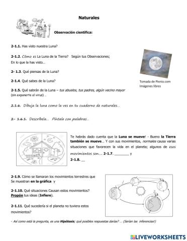 La Observación Científica