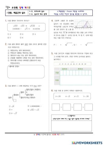 무리수와 실수