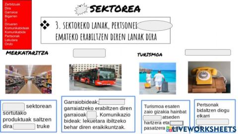 Sektore ekonomikoak 3. sektorea