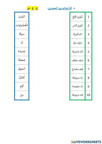 زيتونة الحكيمة