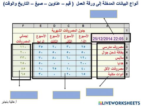 الجداول الحسابية - أنواع البيانات