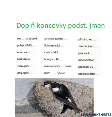 Koncovky podstatných jmen 4