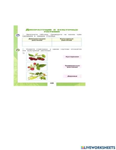 Дикорастущие и культурные растения