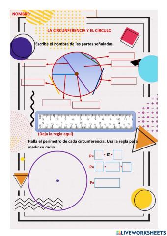 Perímetro de la circunferencia y área del círculo