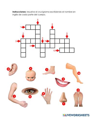 Body parts 1 - 1.9.3°