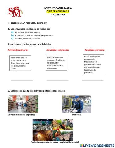 Quiz actividades económicas