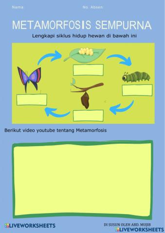 Metamorfosis