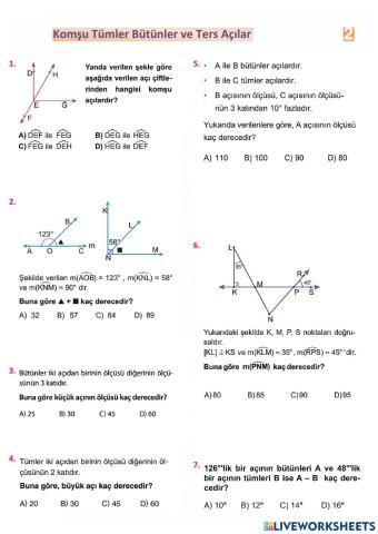 Komşu-tümler-bütünler-ters açilar testi̇-2