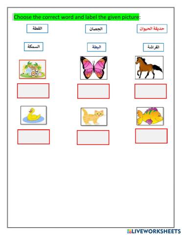 Yr3 arabic for Non Arabs