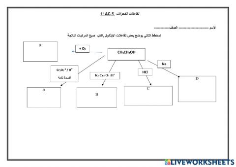 ورقة عمل