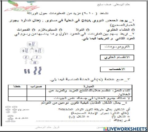 النشاط 10-9:مزيد من المعلومات حول الوراثة