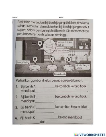 Keperluan asas biji benih