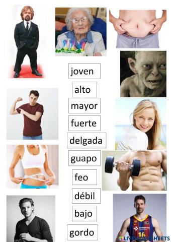 Descripción física español