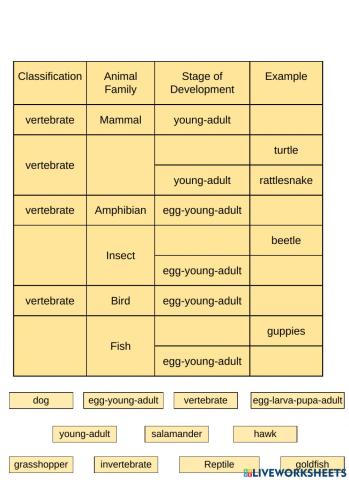 Life Cycle Compare Chart