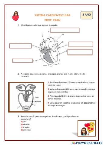 ATIVIDADE SISTEMA CARDIOVASCULAR