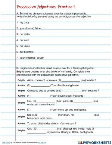 Possessive Adjectives Practice 1