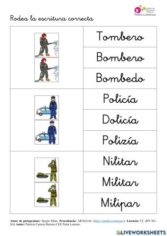 SA Profesiones. Vocabulario (escritura correcta)