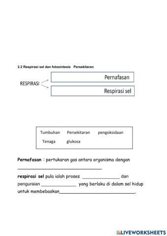 Respirasi vs fotosintesis