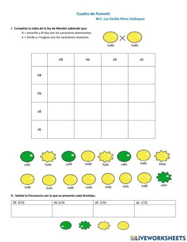 Cuadros de Punnett
