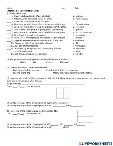 Genetics Chapter Review