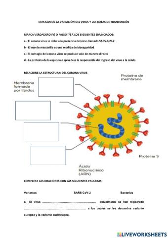 Actividades evaluable