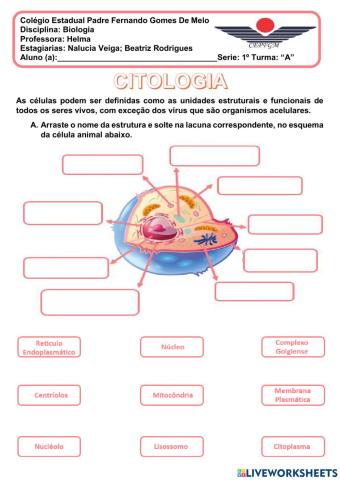 Citologia