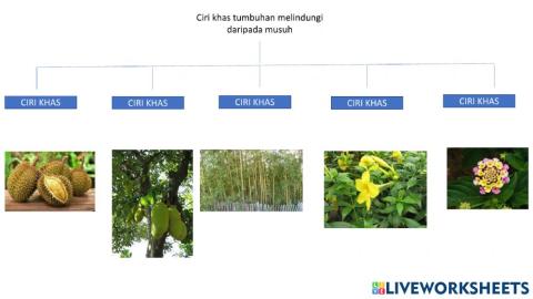 Ciri khas tumbuhan melindungi diri daripada musuh