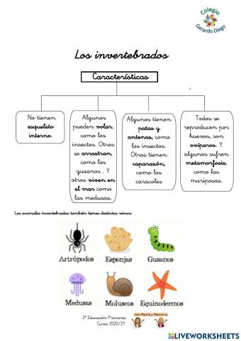 Los animales invertebrados ii