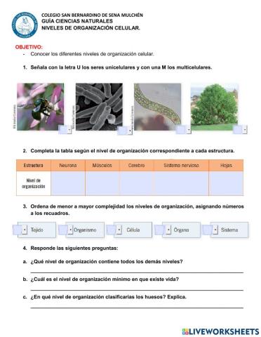 Niveles de organización de los seres vivos