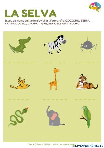 Animals de la selva