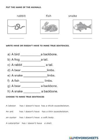 Vertebrates and invertebrates