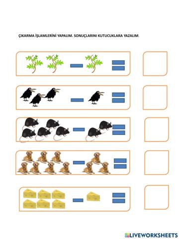 Çikarma i̇şlemi̇