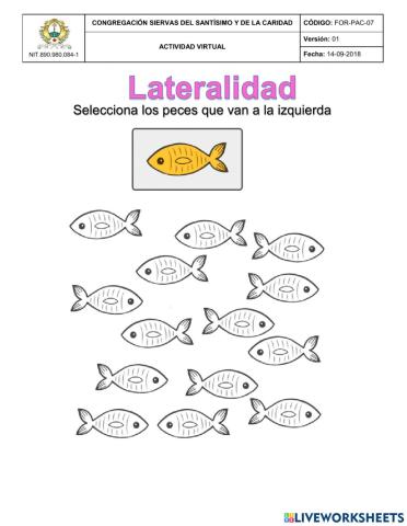 Lateralidad