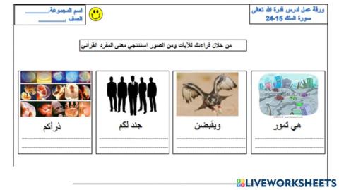 ورقة عمل لدرس قدرة الله تعالى سورة الملك 15-24