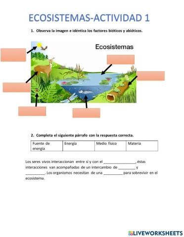 Ecosistemas