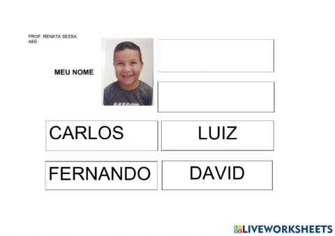 Nome LUIZ FERNANDO