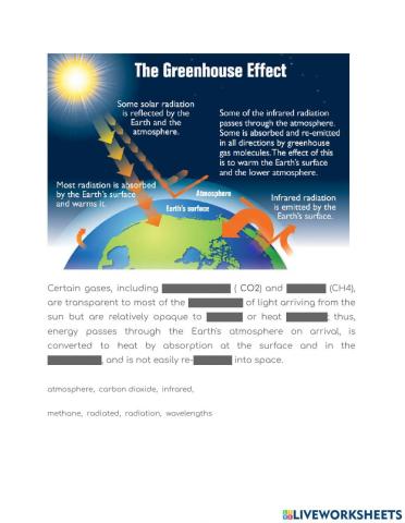 Greenhouse Effect