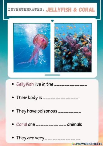 Invertebrates: JELLYFISH & CORAL