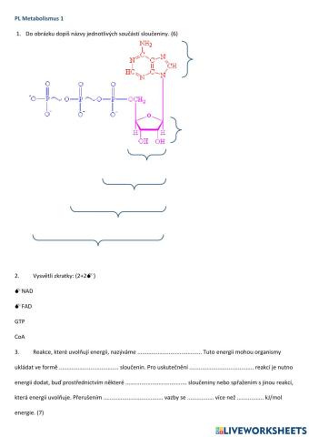 Metabolismus přehled