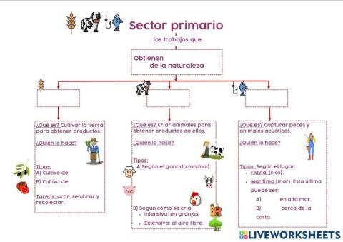 Sector primario