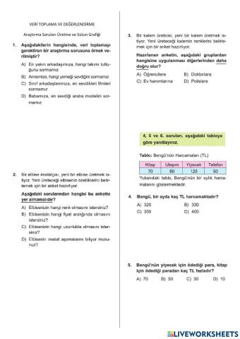 5. sinif veri̇ toplama ve değerlendi̇rme -araştirma sorulari üretme ve sütun grafi̇ği̇-test-42