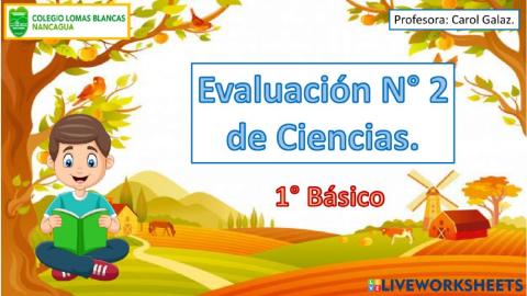 Evaluación 2 de ciencias