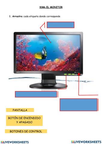 El monitor