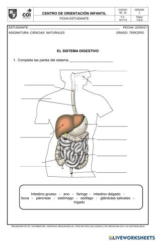 Guia de naturales