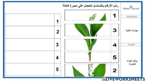 مهارات ذهنية