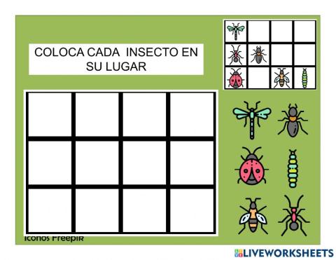 Insectos patrones