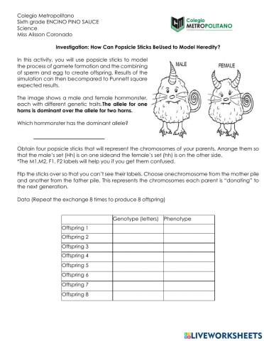 Heredity and Punnett