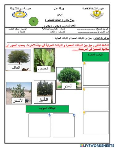 ورقة عمل تفاعلية الصف الثالث